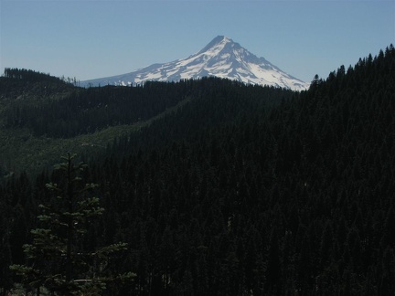 Mt. Hood from the Anthill Trail near Wahtum Lake.