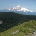 Mt. Hood from the summit of Tomlike Mountain.