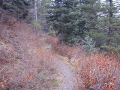 Broads Fork Trail