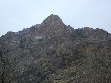 P1010136
