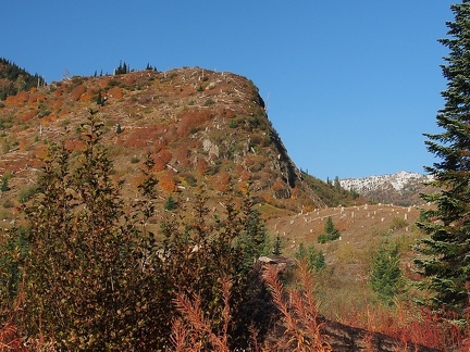 Fall colors on Boundary Trail #1, heading towards Norway Pass.