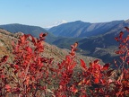 Fall colors on Boundary Trail #1, heading towards Norway Pass.