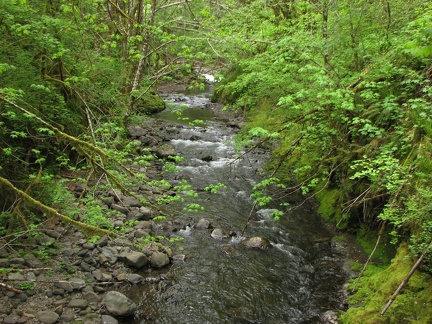 Elk Creek flows all year long near the Elk Creek Trailhead.