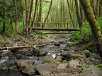 A log bridge over Dog Creek makes the stream crossing easy even in the rainy season.