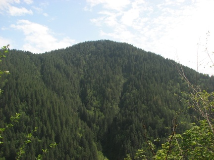 Kings Mountain views from the Elk Creek to Kings Mountain Trailhead on the Wilson River Trail.