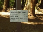 Wonderland 2002 003
