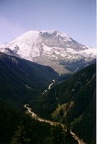 Rainier from Northern Loop