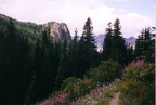 Yellowstone Cliffs