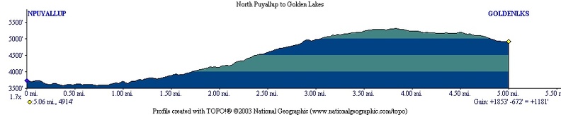 North Puyallup Golden Lakes