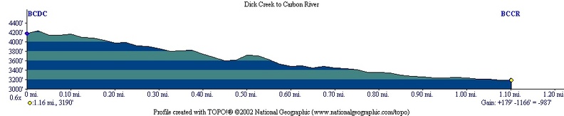 Dick Creek Carbon River