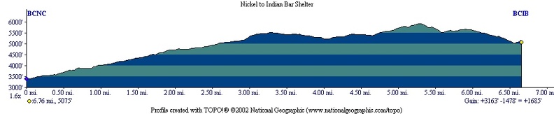 NickelCr IndianBar