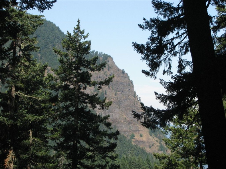 Looking west along the Wyeth trail.