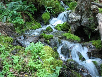 Harphan Creek as it tumbles down the mountainside on the Wyeth Trail.