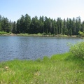 North Lake has a grassy shoreline on the far side of the lake. You can expect to see fish jumping to catch bugs.