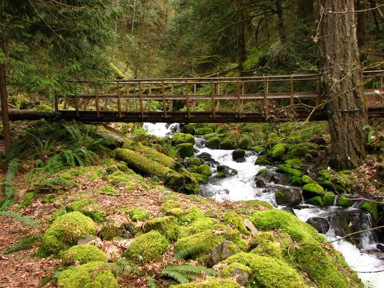 This Log bridge over Pernham Creek has washed out and now you cross on a downed log.