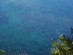 Here near Great Springs the water is so clear it is amazing. Even though there are plenty of fish in the lake water is still a beautiful blue and clear color.