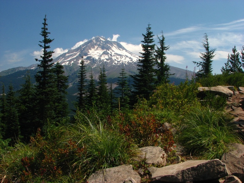 Here is a nice view of Mount Hood from the Burns Lake area.