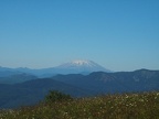 P7243821C