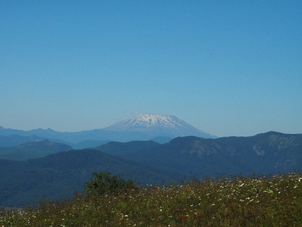 P7243821C