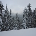 On cloudy days you can still sometimes see into the White River Canyon below Forest Service road.