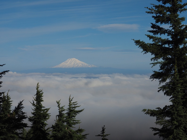 The mid-level fog hung around all day but Mt. Adams stands above it all.