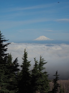 Mt. Adams from Mt. Hood on the Vista Ridge Trail.