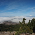 The 3 mountain view also shows trees burned in the August, 2011 Dollar Lake Fire.