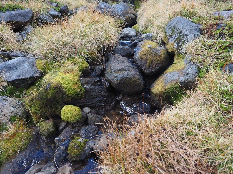 Several small streams cross the Timberline Trail.