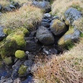 Several small streams cross the Timberline Trail.