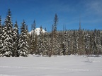 Continuing along the forest roads brings you to Summit Meadow with a partial view of Mt. Hood.