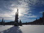 A solitary tree provides a nice vantage point to photograph the clouds at Summit Meadown.