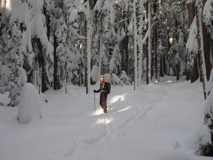 Jeremiah broke trail for a lot of the way through the beautiful winter forest.