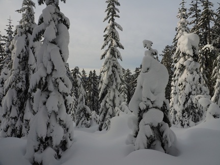 Getting close to Snow Bunny sno park.