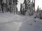 Walking through the untracked snow is so beautiful.
