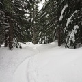 The Pine Marten Trail.