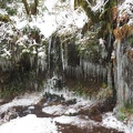 An icy little grotto on Eagle Creek Trail