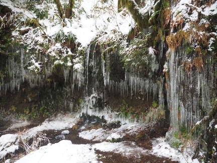 An icy little grotto on Eagle Creek Trail