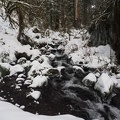 Icy creek feeding Eagle Creek