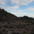 Here is the trail leaving the Muddy River floodplain.