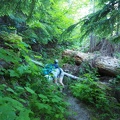 Heidi negotiating one of the deadfall on the trail. I'm hoping this was cut out for the Volcano 50 race.