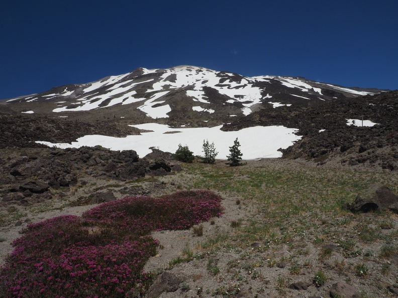 A good view showing how much snow remains on the west side of Mt. St. Helens.