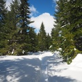 Mt. St. Helens near the bottom of June Lake Trail