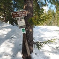 Pine Marten Trail near the snowmobile track