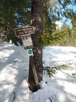 Pine Marten Trail near the snowmobile track
