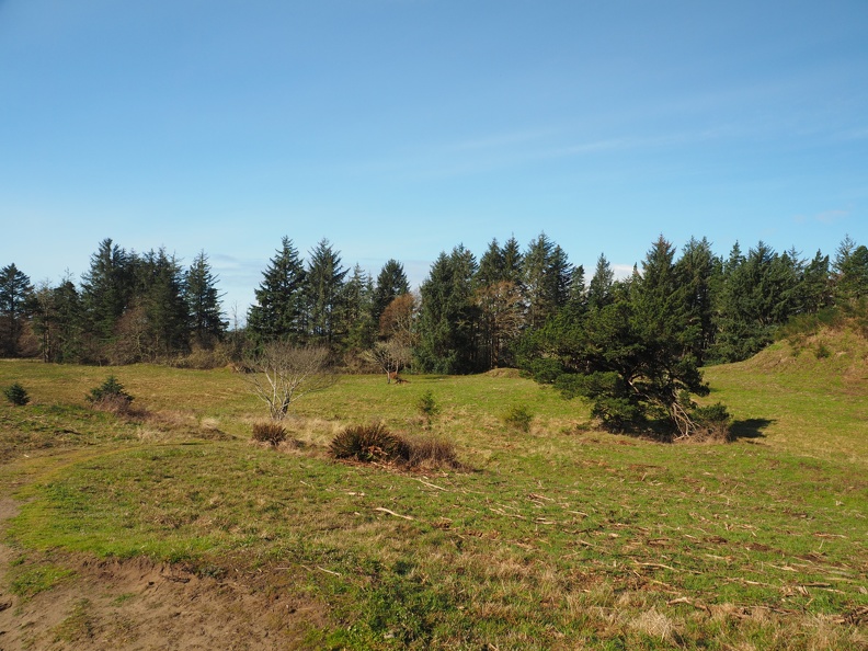 Meadows along the way. Keep an eye out for elk.