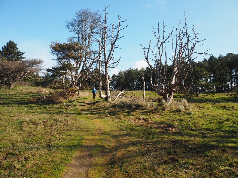 Meadows along the way