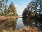 The Fort to Sea trail crosses this slough on a floating bridge.