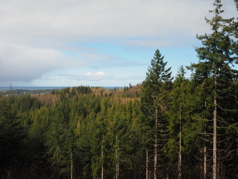 A view from the high point of the trail.