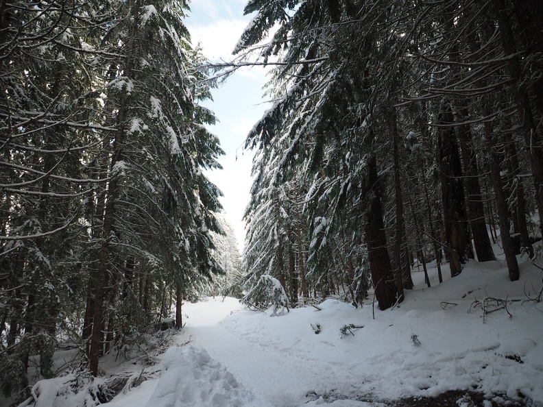 Lots of people use this trail on weekends