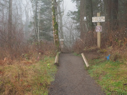 The trail is across the road and easy to find.